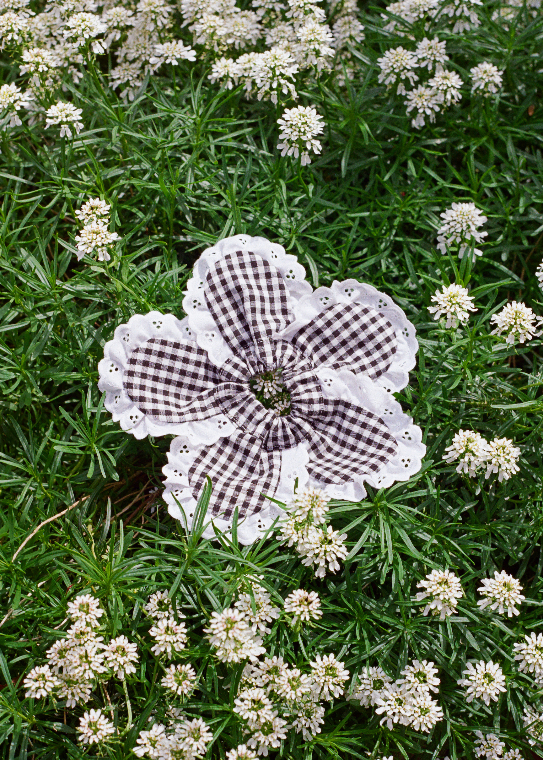 A Bronze Age Daisy Hair Scrunchie, Eyelet Trim Scrunchie | Made in Canada-Hair-abronzeage.com