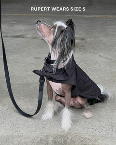 Toto Dog Jacket